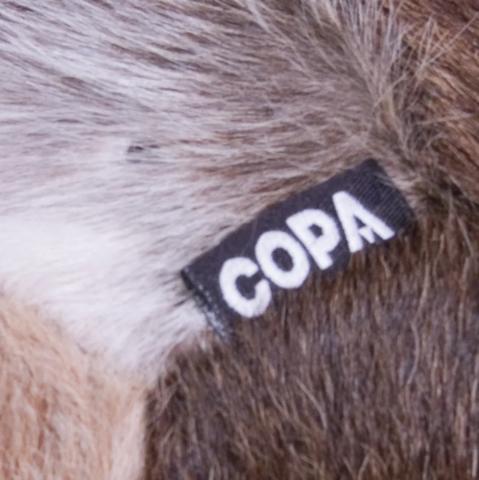 COPA Cow Voetbal