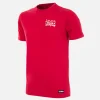 Denemarken 1992 European Champions embroidery T-Shirt